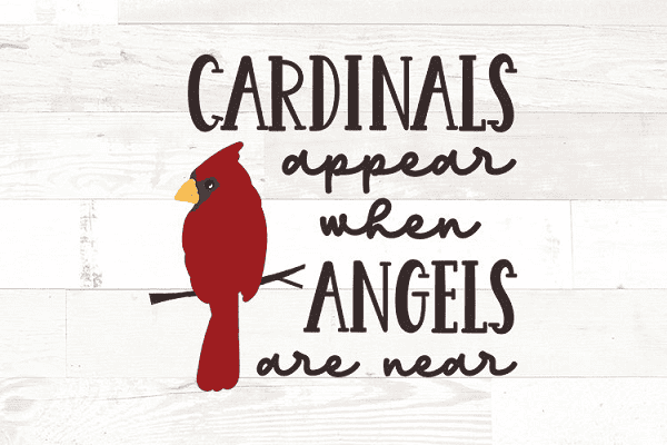 Cardinals Appear When Angels Are Near