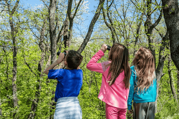 Kids In Birdwatching