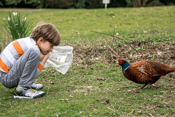 Make Birdwatching Fun