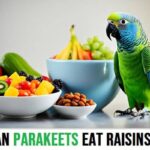 Can Parakeets Eat Raisins