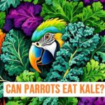 Can Parrots Eat Kale