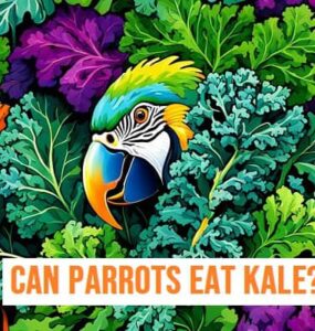 Can Parrots Eat Kale